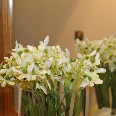 Fruehstueckspension Oberweissburg بيت ضيافة سانكت مايكل ايم لون