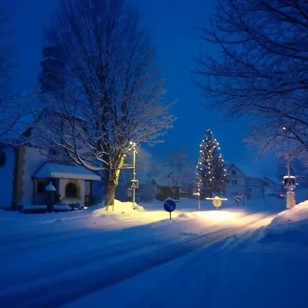 Fruehstueckspension Oberweissburg 3*